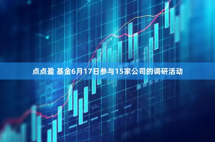 点点盈 基金6月17日参与15家公司的调研活动