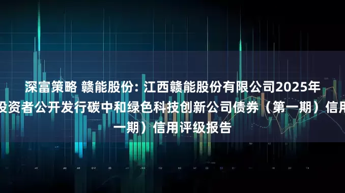 深富策略 赣能股份: 江西赣能股份有限公司2025年面向专业投资者公开发行碳中和绿色科技创新公司债券（第一期）信用评级报告
