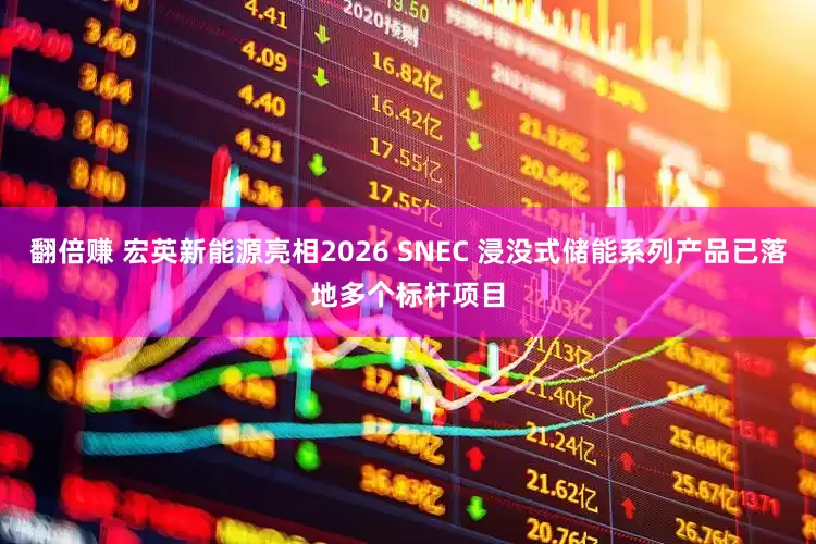 翻倍赚 宏英新能源亮相2026 SNEC 浸没式储能系列产品已落地多个标杆项目